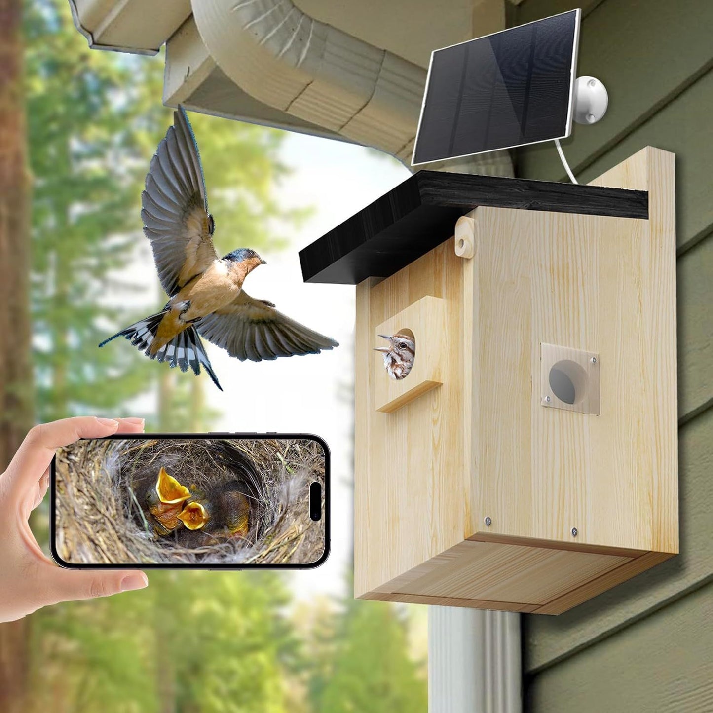 CasaNest™ Smart Solar-Powered Wooden Bird House with 1080P HD Camera
